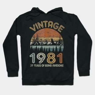 39 Years Old Retro Vintage 1981 39th Birthday Gifts Hoodie